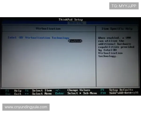 云顶集团3118登录出现问题怎么办？专家推荐的多种应对方法详解