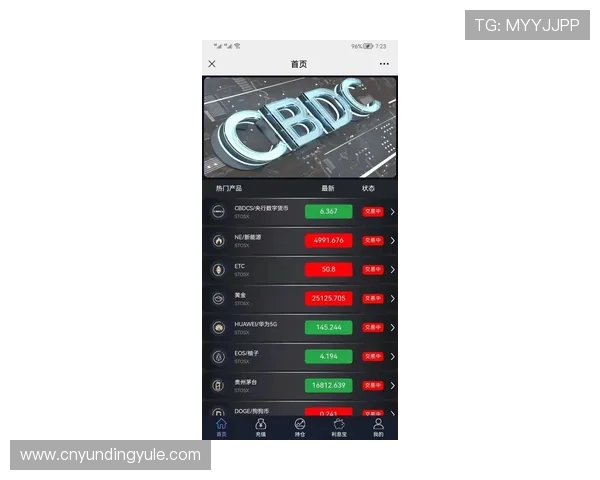 马来西亚云顶大赌场筹码的购买指南与实用技巧
