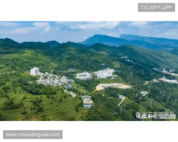 马来西亚云顶集团简介：未来发展战略与创新驱动的重点规划