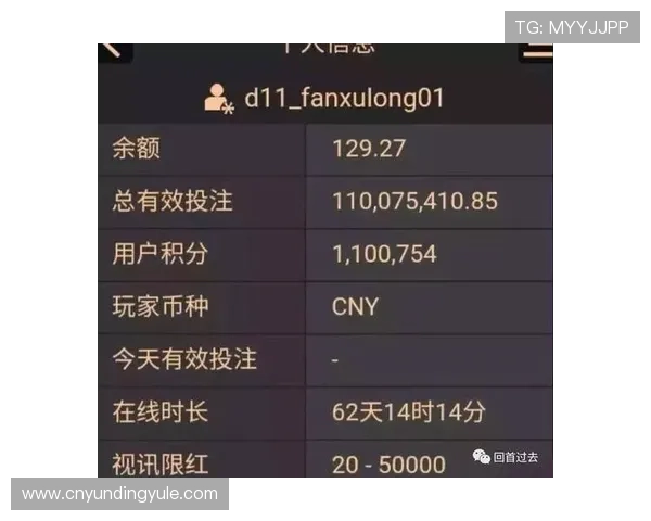 了解AG百家乐的详细规则与玩法指南，帮助新手快速上手掌握游戏技巧